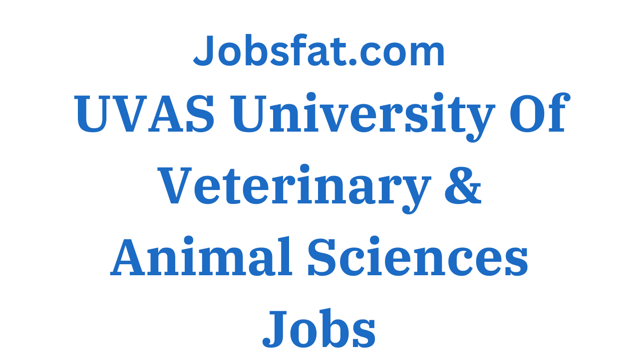 UVAS University Of Veterinary & Animal Sciences Jobs